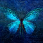 Awakened Wings Grief Coaching