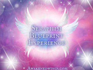 Seraphim Blueprint